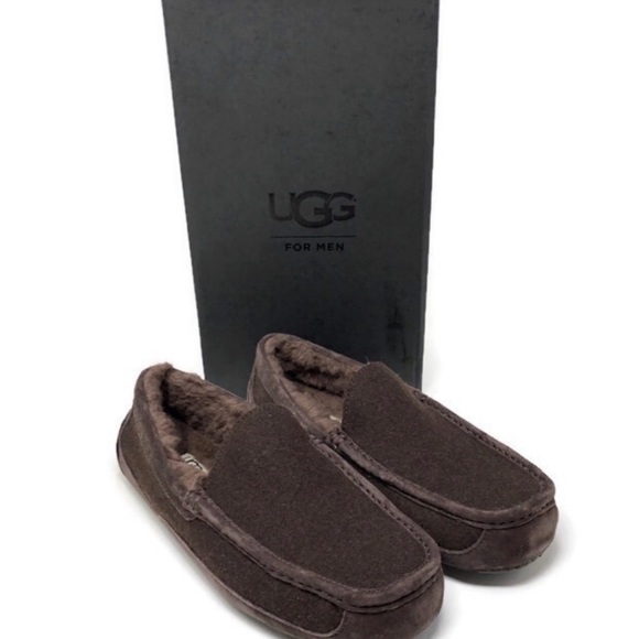 ugg ascot wool slippers